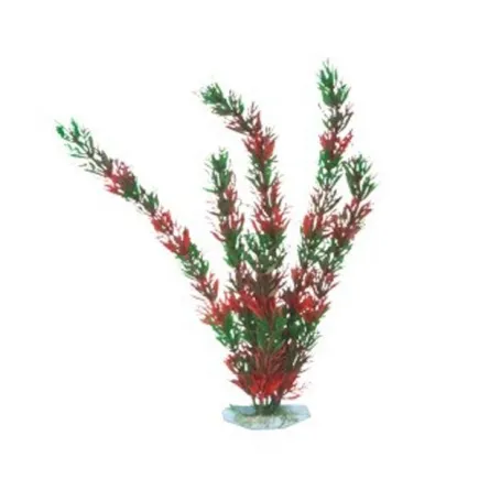 AquatiC Plants (Акватик Плентс) Акваріумна рослина 30cм, AP -003 - 12