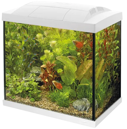 Акваріумний стартовий набір SuperFish Start 30 Aquarium Kit White (A4050277)