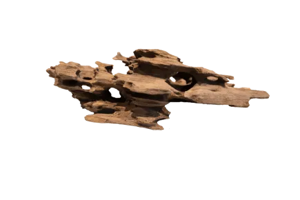 Дерево зі стільниками HONEYCOMB WOOD SMALL (A4080360)