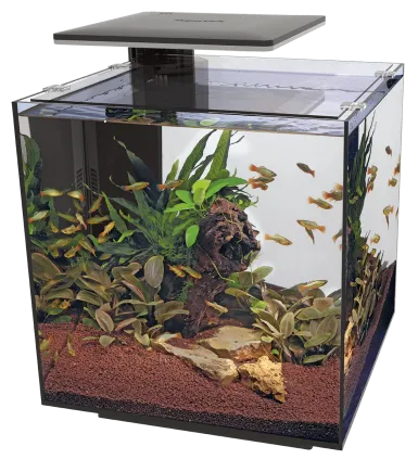 Акваріумний набір SuperFish QubiQ 60 LED Black (A4050905)
