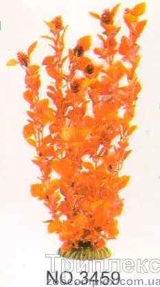 Aquatic Plants (Акватик Плэнтс) Акваріумна рослина, 34 см х 6 шт/уп.