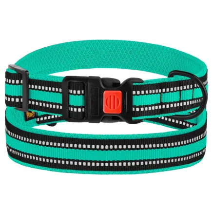 Нашийник для Собак BronzeDog Mesh c Пластиковою Пряжкою Ментоловий XL
