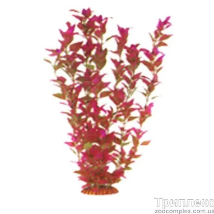 Aquatic Plants (Акватик Плэнтс) Акваріумна рослина, 46 см х 6 шт/уп.