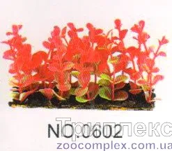 Aquatic Plants (Акватик Плэнтс) Акваріумна рослина, (6х3х6 см) х 6 шт/уп.