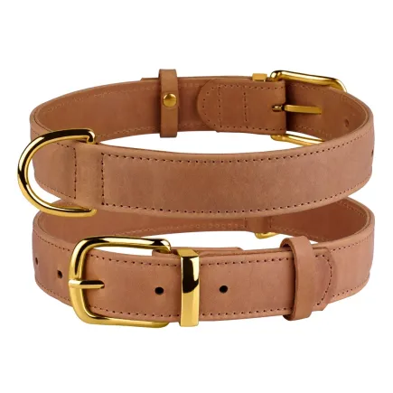 Нашийник для собак шкіряний BronzeDog Crazy коричневий XS