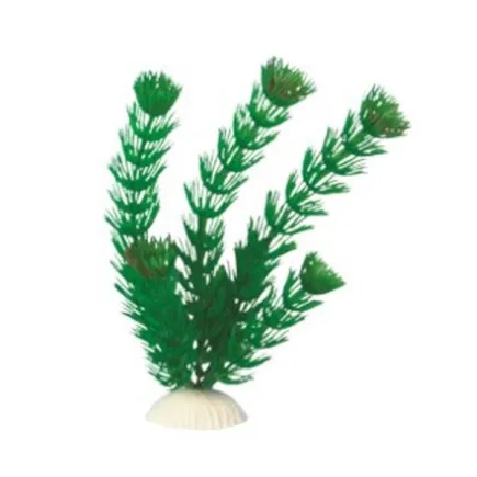 AquatiC Plants (Акватик Плентс) Акваріумна рослина 30cм, AP -006 - 12