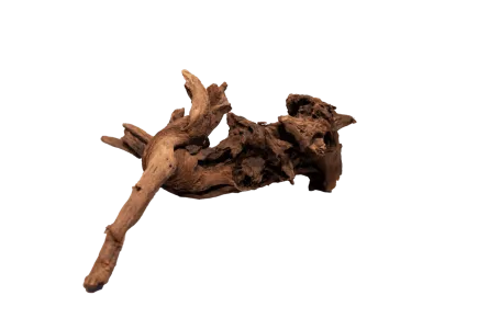 Мангрове дерево MANGROVE AGED WOOD SMALL (A4080335)