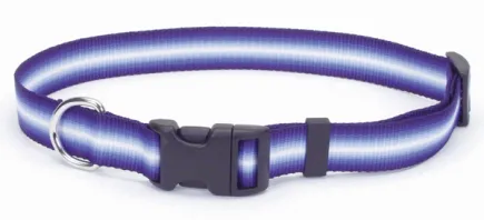 Coastal Trendz Graduated КОСТАЛ ГРАДІЄНТ нашийник для собак, 1х30см Пурпурний