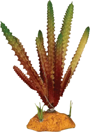 REPTO PLANT CACTUS NEEDLE RED (R5100590) Штучна рослина для тераріума