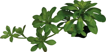 REPTO PLANT SUCCULENT GREEN XL (R5100635) Штучна рослина для тераріума