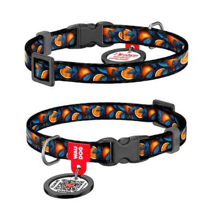 Нашийник для котів та дрібних порід собак нейлоновий WAUDOG Nylon з QR паспортом, малюнок "Апельсини", пластиковий фастекс, XS, Ш 10 мм, Дов 20-30 см