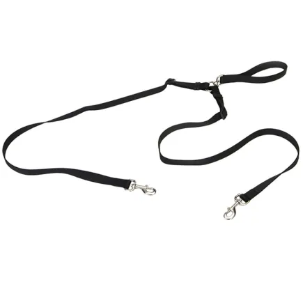 Coastal 2 Dog Walker КОСТАЛ ПОВІДЕЦЬ-СПАРКА для 2-х собак 1,6см х 1,2м