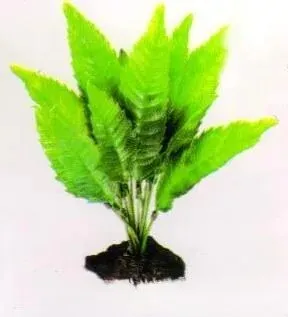 Aquatic Plants (Акватик Плэнтс) Акваріумна рослина, 25 см х 6 шт/уп.