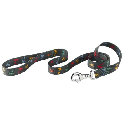 Ferplast CLUB G15/120 CIRCUS Повідець, нейлон