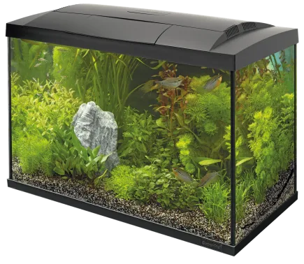 Акваріумний стартовий набір SuperFish Start 70 Aquarium Kit Black (A4050285)