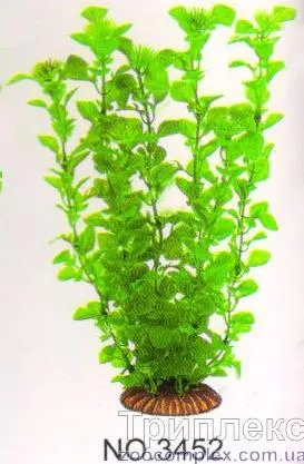 Aquatic Plants (Акватик Плэнтс) Акваріумна рослина, 34 см х 6 шт/уп.