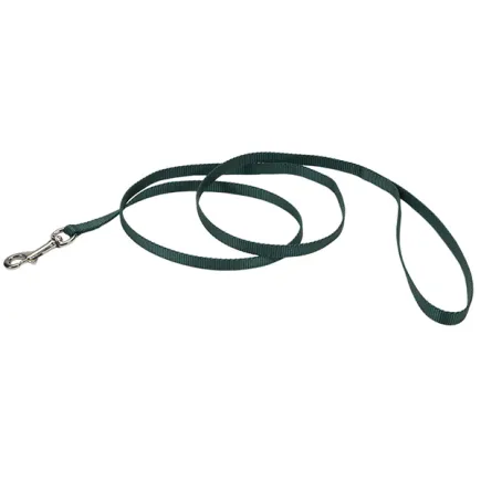 Coastal Nylon Leash КОСТАЛ НАЙЛОН повідець для собак, 1смХ1.2м Хакі