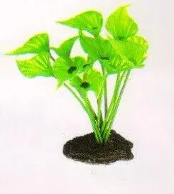 Aquatic Plants (Акватик Плэнтс) Акваріумна рослина, 13 см х 10 шт/уп.