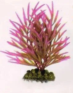 Aquatic Plants (Акватик Плэнтс) Акваріумна рослина, 20 см х 6 шт/уп. арт.2011