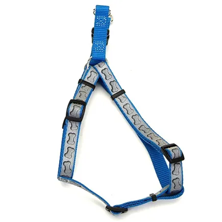 Coastal Lazer Brite КОСТАЛ ЛАЗЕР БРАЙТ світловідбивна шлея для собак, 2.5х66-97см Бірюзовий