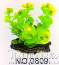 Aquatic Plants (Акватик Плэнтс) Акваріумна рослина, 8 см х 10 шт/уп.