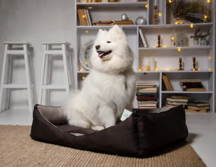 Лежак Тобі №3 Коричневий Lucky Pet, 50х70х20