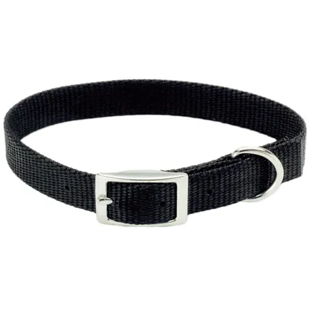 Coastal Nylon Web КОСТАЛ НАЙЛОН ВЕБ нашийник для собак, 1х25см Чорний
