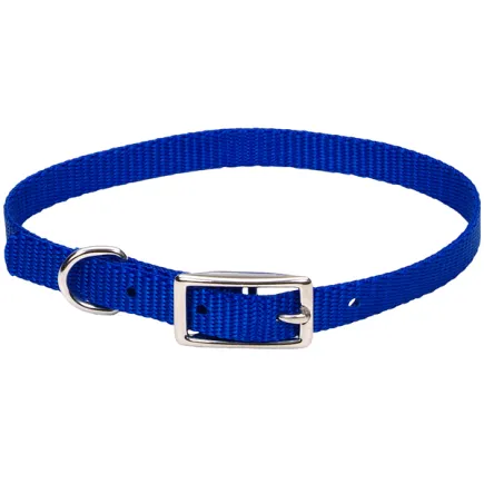 Coastal Nylon Web КОСТАЛ НАЙЛОН ВЕБ нашийник для собак, 1х25см Cиній