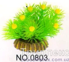 Aquatic Plants (Акватик Плэнтс) Акваріумна рослина, 8 см х 8 шт/уп.
