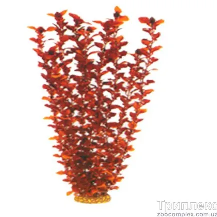 Aquatic Plants (Акватик Плэнтс) Акваріумна рослина, 55 см х 4 шт/уп.