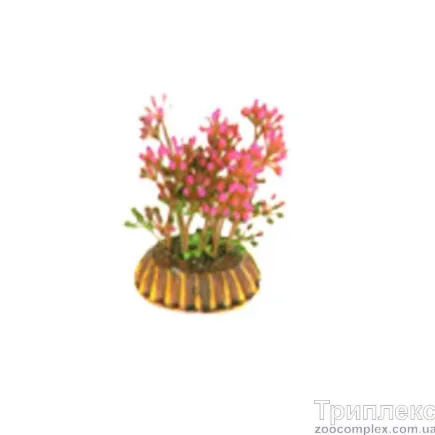 Aquatic Plants (Акватик Плэнтс) Акваріумна рослина, 8 см х 10 шт/уп.