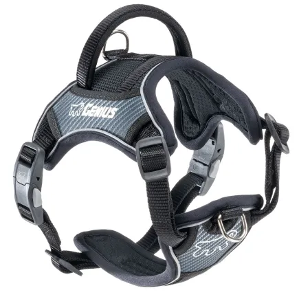 Ferplast GENIUS SMALL BLACK HARNESS нейлонова шлея для тварин чорна