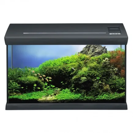 Акваріумний комплект чорний Eheim aquaclass 66 (0340710)
