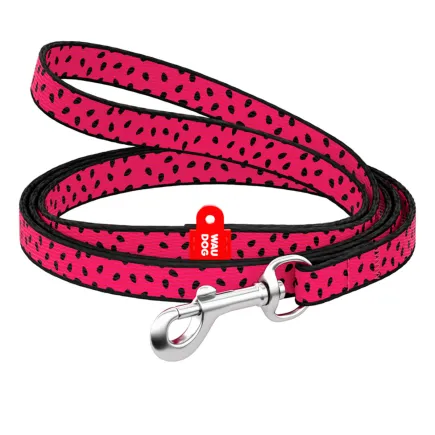 Повідець для собак нейлоновий WAUDOG Nylon, малюнок "Кавун", Ш 10 мм, Дов 122 см