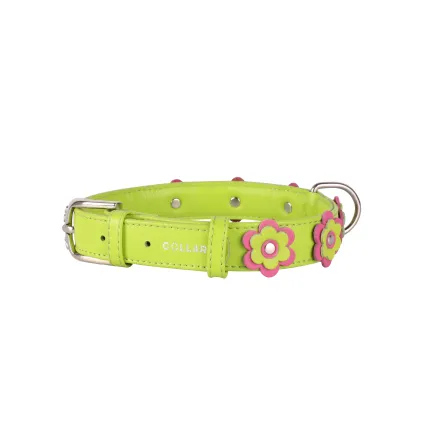 Нашийник "CoLLaR GLAMOUR" з оздобленням "Аплікація" (ширина 35мм, довжина 46-60см) салатовий