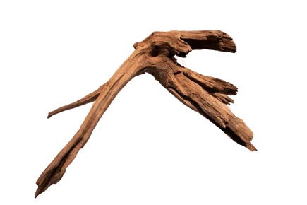 Мангрове дерево MANGROVE AGED WOOD LARGE (A4080345)