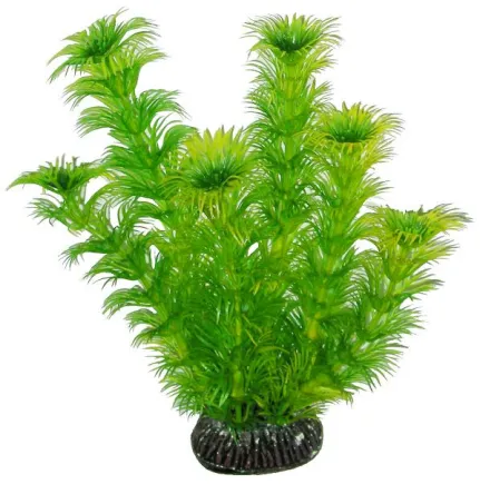 Акваріумна рослина Aquatic Plants, 19 см х 8 шт / уп (1998)