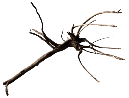 Павутинне дерево BLACK SPIDER WOOD X-LARGE (A4080395)
