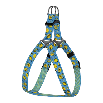 Шлея для Собак Дрібних Порід BronzeDog Urban Fruits Лимони 2XS