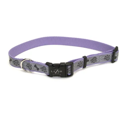 Coastal Lazer Brite Reflective Collar КОСТАЛ ЛАЗЕР БРАЙТ світловідбивний нашийник для собак, 1.6х30-46см Лапа кістка фіолетовий