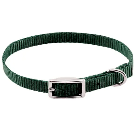 Coastal Nylon Web КОСТАЛ НАЙЛОН ВЕБ нашийник для собак, 1х25см Хакі