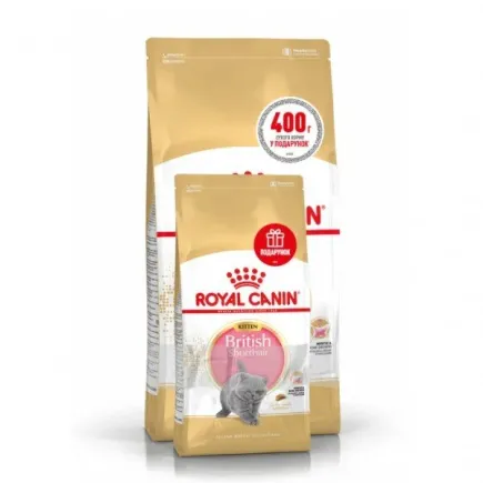 Сухий корм Royal Canin KITTEN BRITISH SHORTHAIR для породи кошенят Британська короткошерста кішка 2кг + 400г