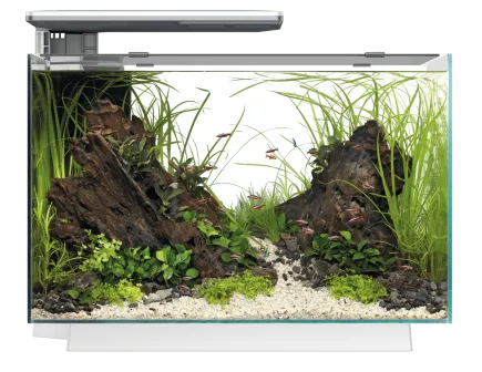 Акваріумний набір SuperFish Quadro 70 Pro White (A4052220)