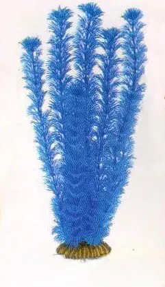 Aquatic Plants (Акватик Плэнтс) Акваріумна рослина, 46 см х 6 шт/уп.