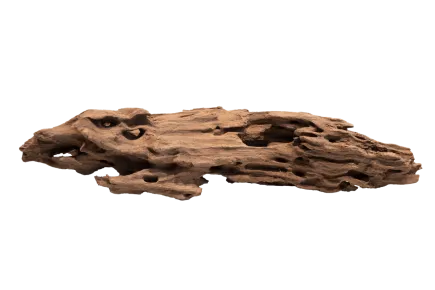 Дерево зі стільниками HONEYCOMB WOOD LARGE (A4080370)