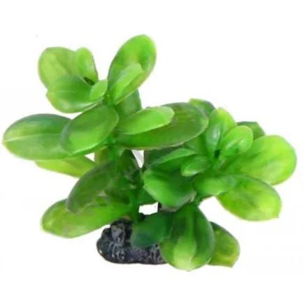 Акваріумна рослина Aquatic Plants, 13 см