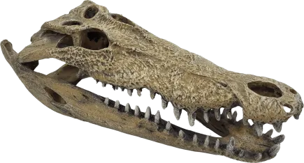 Декорація для акваріума REPTO DECO CROCODILE XXL (R5100365)