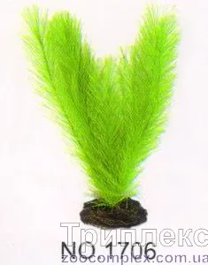 Aquatic Plants (Акватик Плэнтс) Акваріумна рослина, 17 см х 8 шт/уп.