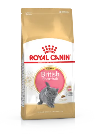 Сухий корм Royal Canin KITTEN BRITISH SHORTHAIR для породи кошенят Британська короткошерста кішка 8кг + 2кг