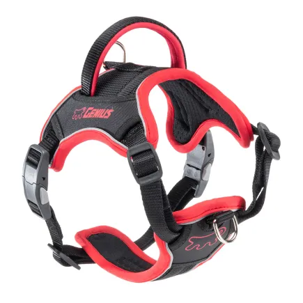 Ferplast GENIUS SMALL RED HARNESS нейлонова шлея для тварин червона